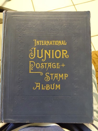 Scott international junior - international,